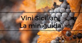 Degustazione vini: la miniguida per cominciare - Cavour 313